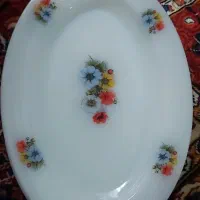 دیس پلویی آرکوپال فرانسه گل میوه اصل۶تا.دونه پنج ت