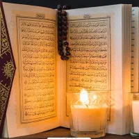 سرکتاب برگشت مع