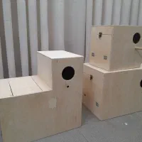 لانه چوبی انواع پرندگان