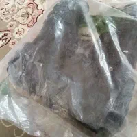 پوتین نظامی (سربازی)