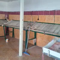 استند میوه