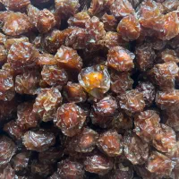 آلوچه خورشتی