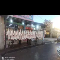 قصاب سیار ماهر و کار درست