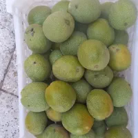 گردو تازه