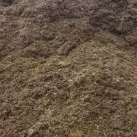 تامین و صادرات علوفه ذرت درفول