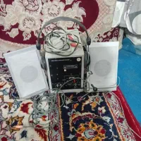 ظبط