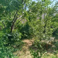 خونه باغ