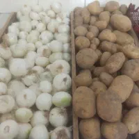 فروشنده برای میوه فروشی
