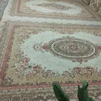 فرش ۱۲متری درحدنو
