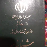 شناسنامه گم شده