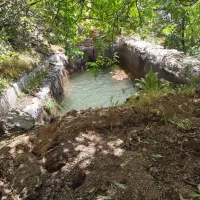 کارگر باغبان