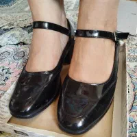کفش مجلسی