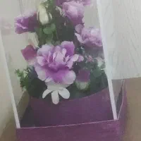 گل باکسی