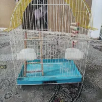 قفس و پوشال