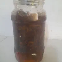 اصلی کوهی ۱۰۰ درصد طبیعی