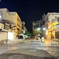 واحد،بازسازی شده،باغ انار
