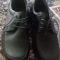 کفش نو