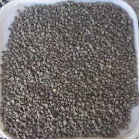 فروش بذر هلر