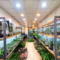 همکار خانم جهت فروشندگی