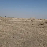 فروشی-مرتع-جو