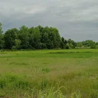 1000زمین-کاملا-مسکونی-100-متری-آسفالت