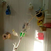 عروس هلندی و کوتوله