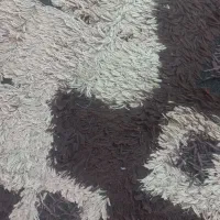 گلیم فانتزی|گلیم، جاجیم، گبه|مشهد, وحید|دیوار