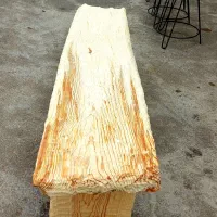 میز تی وی