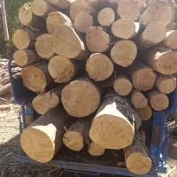 خریدار انواع چوب آماده و قطع و برش درختان باغ شما