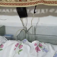 آکواریوم