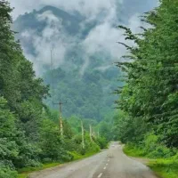 تور گردشگری