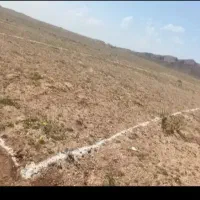 زمین شکرآب