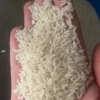 برنج ایرانی (خالص)