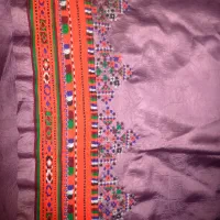 دمن دوچ پلیواری