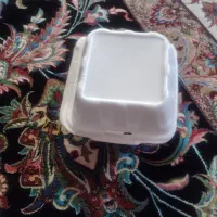 ظرف یک بار مصرف کوچک