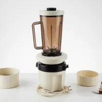 آسیاب کن و مخلوط کن مولینکس