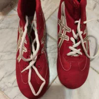 کفش کشتی|کیف، کفش، کمربند|فشم, |دیوار