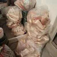 فروش نان باگت خشک بسیار تمیز وتازه وفاقدهرگونه کپک