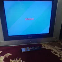 تلویزیون