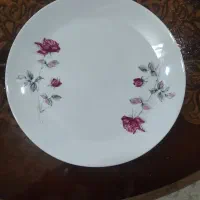 ظروف میوه خوری وگلدان|صنایع دستی و سایر لوازم تزئینی|تهران, مسعودیه|دیوار