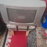 تلویزیون