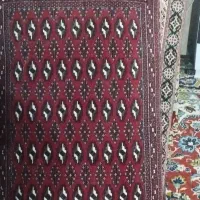 تعداد پنح پشتی