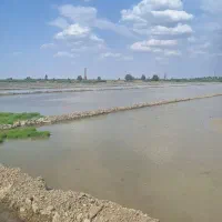 شخم زمین شما با دیکس بزرگ