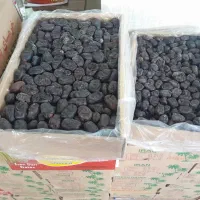 خرما ی خوب از کسی بخر که خرماشناس باشه 51 نوع خرما