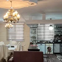 پرده زبرا درحد نو