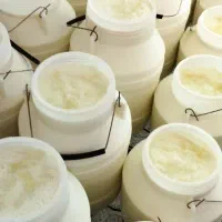 لبنیات بیابانی