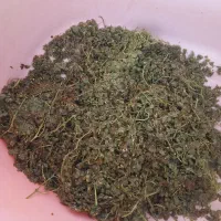 تفاله غوره رایگان