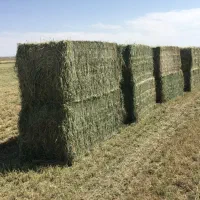یونجه پرس درجه یک
