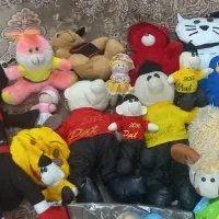 عروسک های سالم همه با هم به فروش می رسد