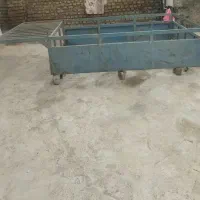باربند مزدا
